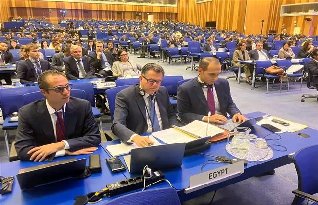 القرار المصري المعتمد يطالب بإخضاع جميع المنشآت النووية في الشرق الاوسط لنظام الضمانات