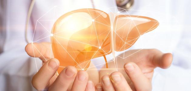 أطعمة ومشروبات تساعد على حماية الكبد