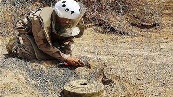 مشروع «مسام» ينزع 1.103 ألغام من الأراضي اليمنية خلال أسبوع