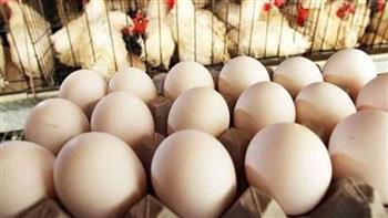 60  مليون بيضة مشروع يعود للحياة