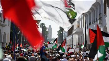 مظاهرة حاشدة وسط فيينا لدعم القضية الفلسطينية ورفض تهجير سكان غزة 