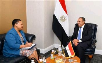 وزير الخارجية يؤكد انخراط مصر الإيجابي في مشروعات الآلية الأفريقية لمراجعة النظراء