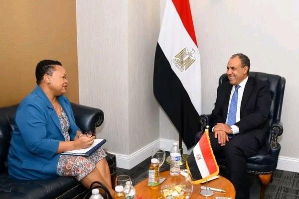 وزير الخارجية يؤكد انخراط مصر الإيجابي في مشروعات الآلية الأفريقية لمراجعة النظراء