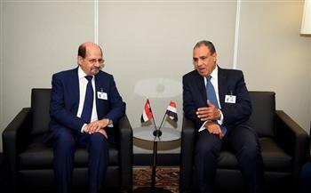 وزير الخارجية: استقرار اليمن عنصر أساسي لتحقيق الأمن الإقليمي وأمن البحر الأحمر