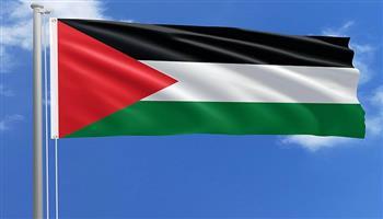 50 بلدية فرنسية ترفع العلم الفلسطيني تزامنًا مع استعداد باريس للاعتراف بالدولة