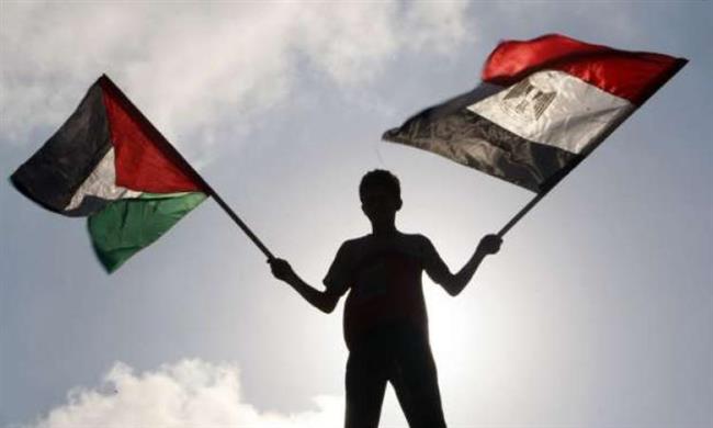 "حل الدولتين".. سياسيون: تتويج لجهود دبلوماسية دؤوبة بذلتها القاهرة حفاظًا على الحق الفلسطيني