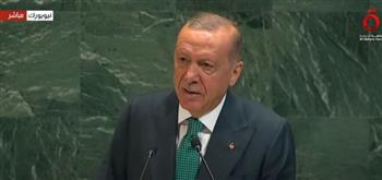 أردوغان: سوريا أصبحت حرة الآن