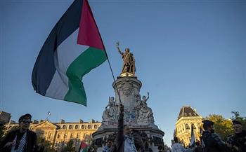 مجلس السفراء العرب المعتمد لدى فرنسا يقدم التهنئة لسفيرة فلسطين على اعتراف باريس بدولة فلسطين
