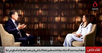 السفير الفرنسي: الاعتراف بفلسطين فقط لا يكفي.. ولن يغير الوضع المأساوي في غزة