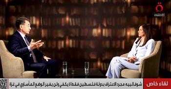 السفير الفرنسي: الاعتراف بفلسطين فقط لا يكفي.. ولن يغير الوضع المأساوي في غزة