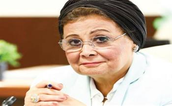 د. عبلة الألفى.. نائب وزير الصحة: نسير فى الاتجاه الصحيح لمواجهة «القضية السكانية»..  