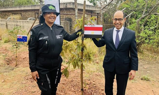السفير المصري يغرس شجرة باسم مصر في حديقة «الحرية» ببريتوريا