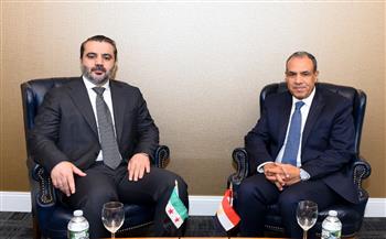 وزير الخارجية: دعم كامل لوحدة سوريا ورفض للانتهاكات الإسرائيلية