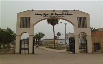 وفد صيني رفيع المستوى يزور مركز بحوث الأرز بسخا في كفر الشيخ لتعزيز التعاون المشترك  