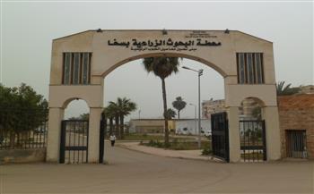 وفد صيني رفيع المستوى يزور مركز بحوث الأرز بسخا في كفر الشيخ لتعزيز التعاون المشترك  