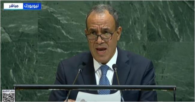 وزير الخارجية يطرح رؤية مصر للتعامل مع الوضع في الشرق الأوسط