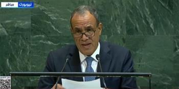 وزير الخارجية: مصر كرست جهودها لوقف إطلاق النار بشكل دائم في غزة