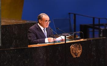 وزير الخارجية: إثيوبيا واهمة إذا ظنت أن مصر ستتنازل عن حقوقها في نهر النيل   