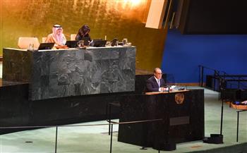 وزير الخارجية يطرح رؤية مصر للتعامل مع الوضع في الشرق الأوسط