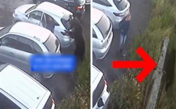 قتل امرأة وطفل.. شاب ينجو من هجوم دب في اللحظات الأخيرة (فيديو)
