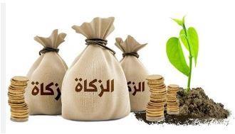 هل يجوز الجمع بين نية الزكاة والصدقة معا؟.. عضو مركز الأزهر تجيب