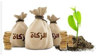 هل يجوز الجمع بين نية الزكاة والصدقة معا؟.. عضو مركز الأزهر تجيب
