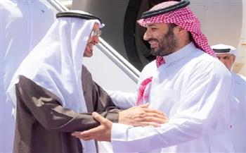 ولي العهد السعودي يستقبل رئيس الإمارات