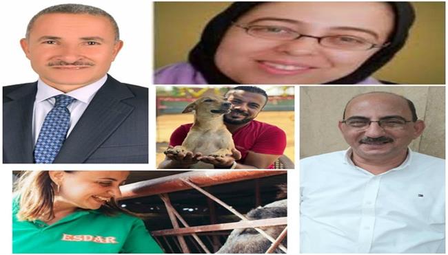 الخميس.. ندوة بمكتبة القاهرة الكبرى حول «التوازن البيئي وحماية المناخ والحيوان»   