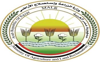  "الزراعة": دعوات الامتناع عن إطعام الكلاب الضالة سلوك مخالف للشرع والقانون