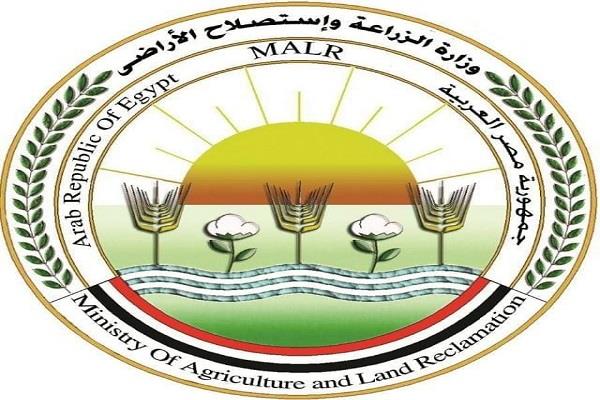  "الزراعة": دعوات الامتناع عن إطعام الكلاب الضالة سلوك مخالف للشرع والقانون