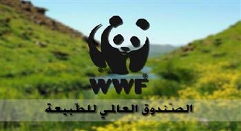 "العالمي للطبيعة" يحث قادة أفريقيا على تعزيز تمويل المناخ وتبني حلول مستدامة