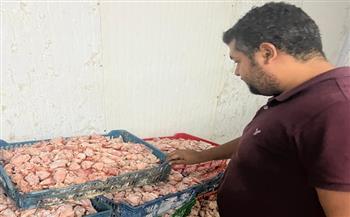 ضبط 4.5 طن دواجن وجلود ودهون غير صالحة للاستهلاك الآدمي بالجيزة 