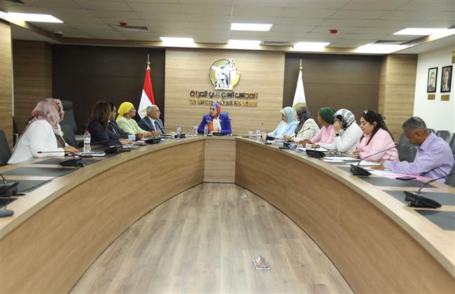 لجنة المشاركة السياسية بـ«قومي المرأة» تناقش خطة الاستعداد للانتخابات البرلمانية
