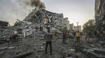 مصر تؤكد: لن نكون شركاء في تصفية القضية الفلسطينية ولن نصبح بوابة للتهجير