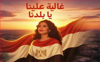 شيرين عبد الوهاب لجمهورها.. «شكرًا لدعواتكم وانتظروا أحلى مفاجأة»