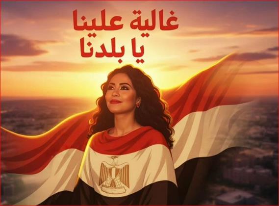 شيرين عبد الوهاب لجمهورها.. «شكرًا لدعواتكم وانتظروا أحلى مفاجأة»