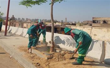 وزيرة التنمية المحلية تتابع الموقف التنفيذي للمرحلة الرابعة من المبادرة الرئاسية "100 مليون شجرة"
