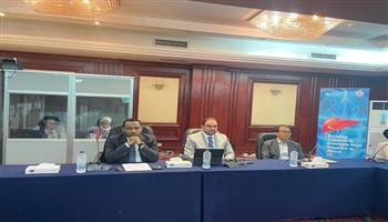 "الصحة" تنظم ورشة عمل لتعزيز قدرات 13 دولة إفريقية في القضاء على التهاب الكبد الفيروسي