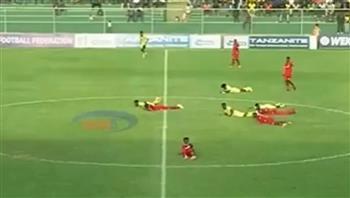 رعب الدقيقة 77.. سرب نحل يقتحم مباراة لكرة القدم (فيديو)