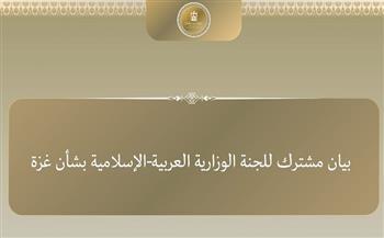 بيان مشترك صادر عن وزراء خارجية اللجنة العربية الإسلامية بشأن غزة