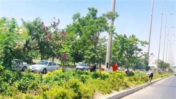 محافظ الإسكندرية يوجه برفع كفاءة المسطحات الخضراء والحدائق العامة وزراعة النباتات