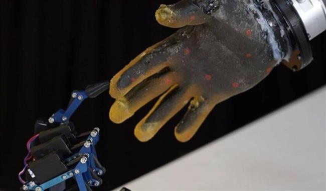 طفرة تقنية.. روبوتات بجلد مبتكر تستشعر الألم