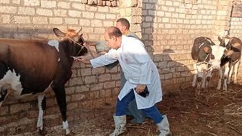 "الزراعة" تطلق حملة استثنائية لتحصين الثروة الحيوانية ضد الحمى القلاعية والوادي المتصدع