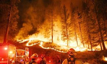 حرائق الغابات في أستراليا تدمّر منازل وتقطع الكهرباء عن عشرات الآلاف