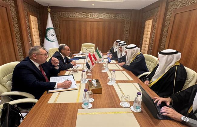 وزير الخارجية يؤكد دعم مصر لوحدة وسيادة الأراضي الصومالية باعتبارها ركيزة لاستقرار القرن الإفريقي