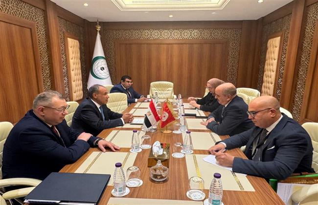 وزير الخارجية يؤكد لنظيره التونسي الحرص على الارتقاء بمستوى العلاقات بين البلدين 