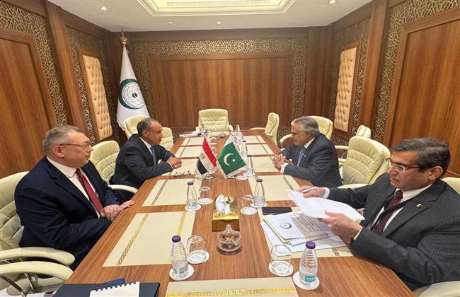 وزير الخارجية يعرب عن التطلع لتطوير العلاقات مع باكستان في مختلف المجالات