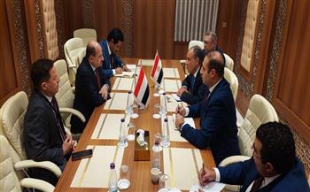 وزير الخارجية يؤكد موقف مصر الثابت الداعم لوحدة الجمهورية اليمنية وسيادتها وسلامة أراضيها