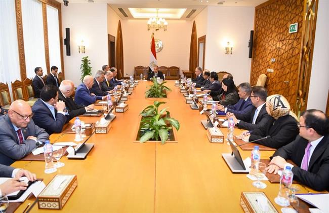 وزير الخارجية: القطاع الخاص أحد الركائز الرئيسية لتعميق العلاقات الاقتصادية مع الدول الإفريقية