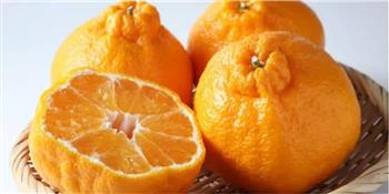 اليوسفي لإنقاص الوزن